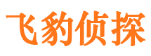 锦屏侦探公司